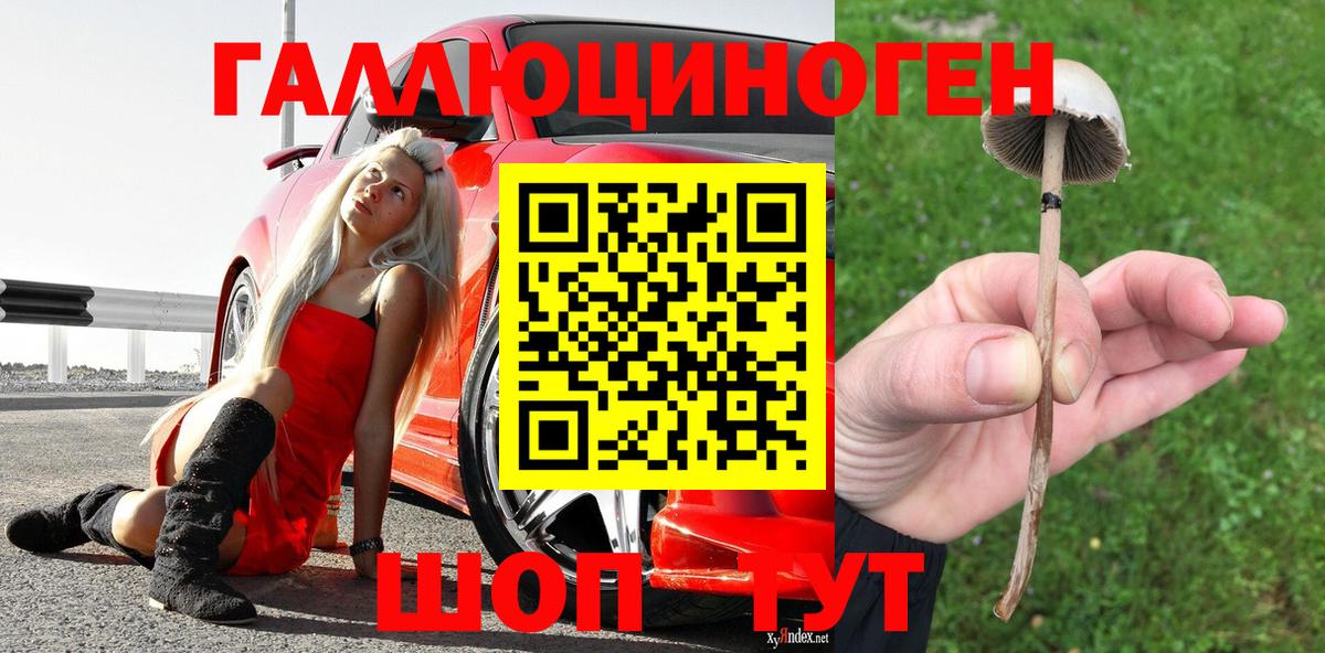 Псилоцибиновые грибы мицелий Ишим